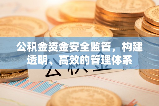 营山公积金资金安全监管，构建透明、高效的管理体系