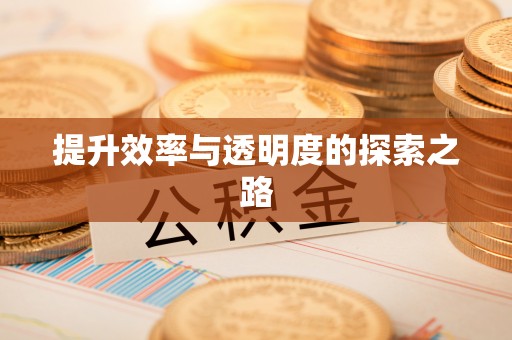 营山提升效率与透明度的探索之路