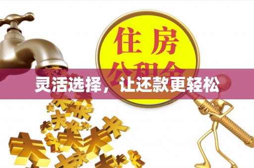 营山灵活选择，让还款更轻松