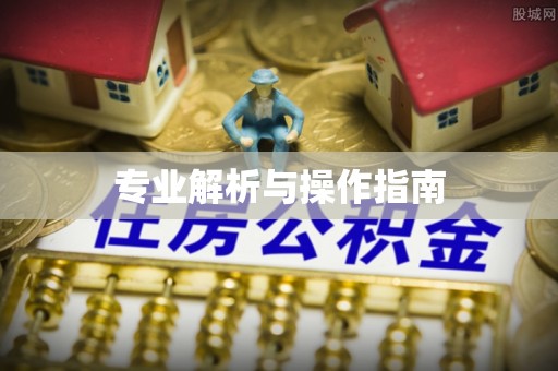 营山专业解析与操作指南