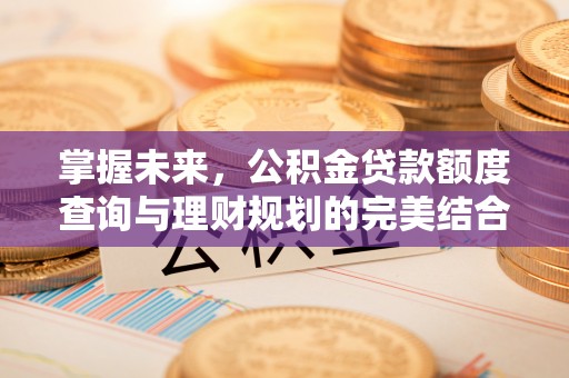 营山掌握未来，公积金贷款额度查询与理财规划的完美结合