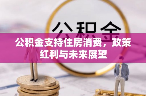 营山公积金支持住房消费，政策红利与未来展望