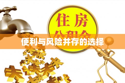 营山便利与风险并存的选择