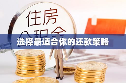营山选择最适合你的还款策略