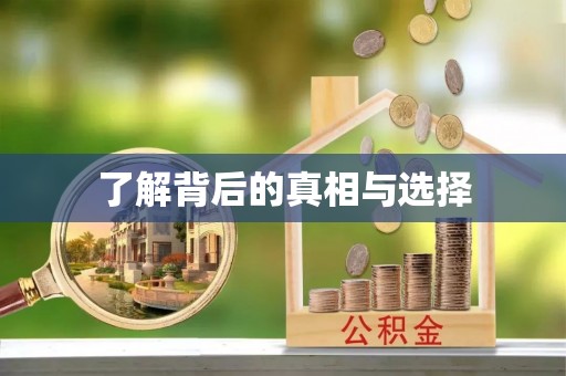 营山了解背后的真相与选择